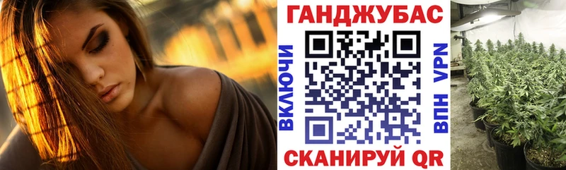 Купить где  Полярные Зори  МАРИХУАНА семена 